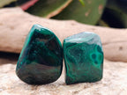 Polished Flower Banded Malachite Free Forms x 20 From Congo - Toprock Gemstones and Minerals 