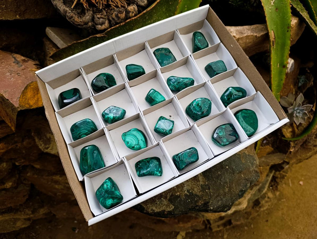 Polished Flower Banded Malachite Free Forms x 20 From Congo - Toprock Gemstones and Minerals 