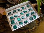 Polished Flower Banded Malachite Free Forms x 20 From Congo - Toprock Gemstones and Minerals 