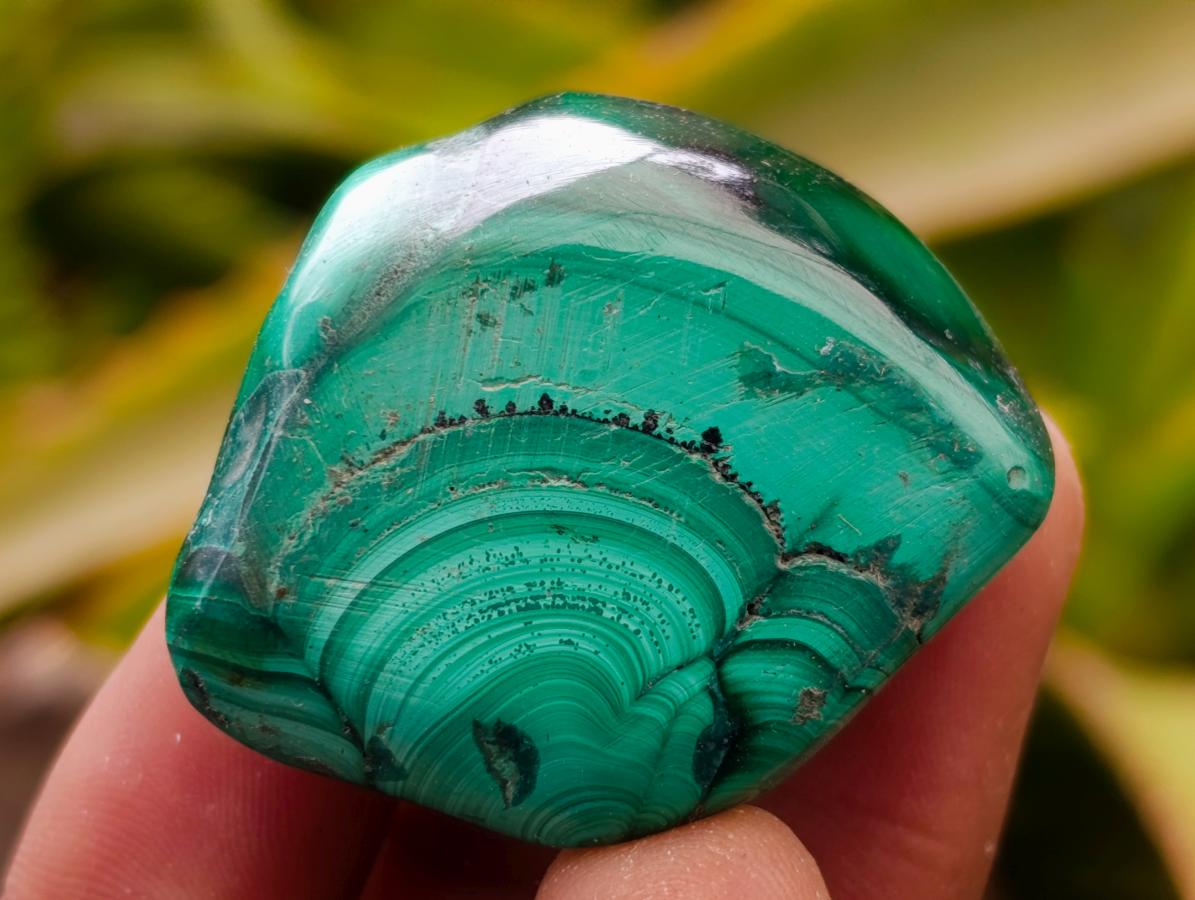 Polished Flower Banded Malachite Free Forms x 20 From Congo - Toprock Gemstones and Minerals 