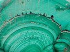Polished Flower Banded Malachite Free Forms x 20 From Congo - Toprock Gemstones and Minerals 