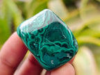 Polished Flower Banded Malachite Free Forms x 20 From Congo - Toprock Gemstones and Minerals 