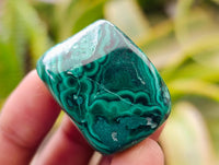 Polished Flower Banded Malachite Free Forms x 20 From Congo