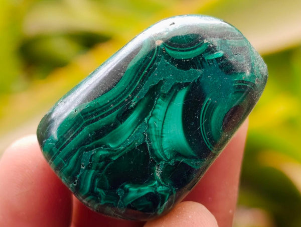 Polished Flower Banded Malachite Free Forms x 20 From Congo