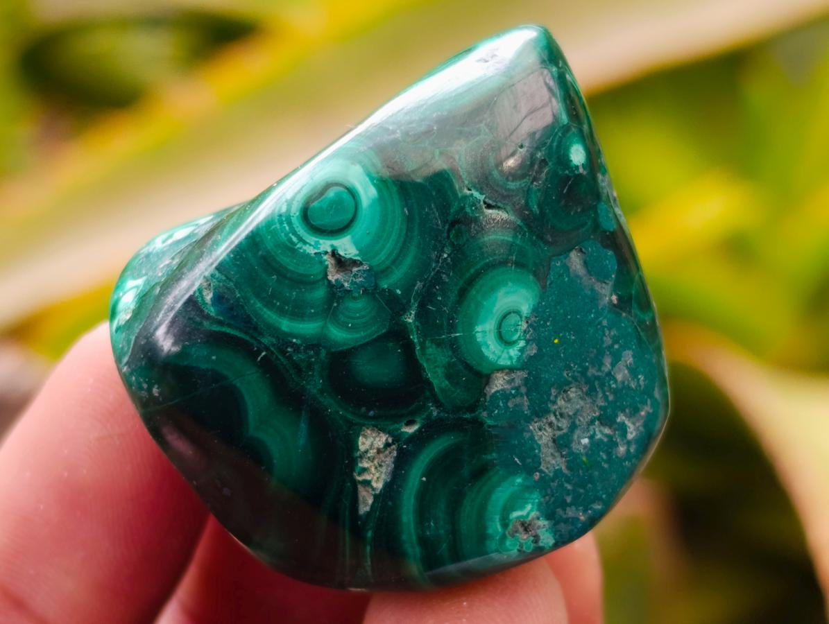Polished Flower Banded Malachite Free Forms x 20 From Congo - Toprock Gemstones and Minerals 