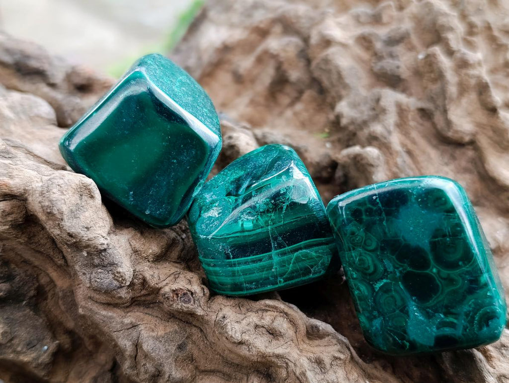 Polished Flower Banded Malachite Free Forms x 20 From Congo - Toprock Gemstones and Minerals 