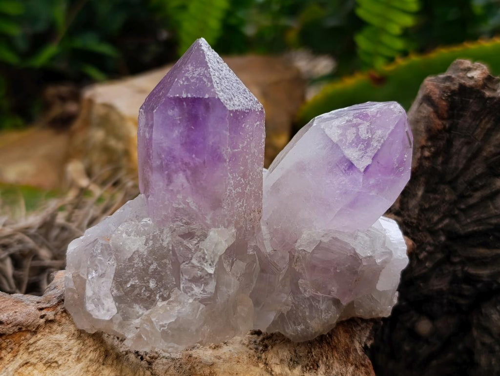 Natural Jacaranda Amethyst Crystals x 24 From Mumbwa, Zambia