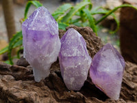Natural Jacaranda Amethyst Crystals x 24 From Mumbwa, Zambia