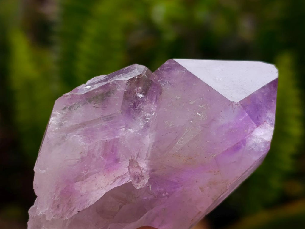 Natural Jacaranda Amethyst Crystals x 24 From Mumbwa, Zambia