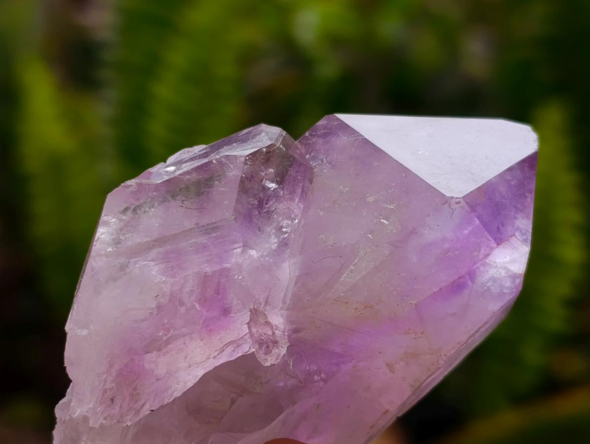 Natural Jacaranda Amethyst Crystals x 24 From Mumbwa, Zambia