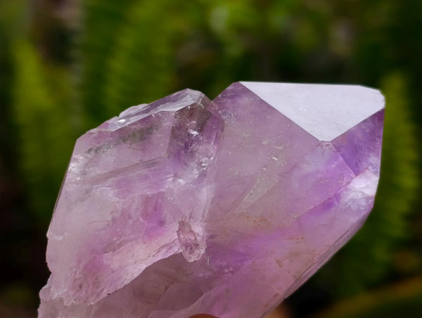 Natural Jacaranda Amethyst Crystals x 24 From Mumbwa, Zambia