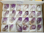 Natural Jacaranda Amethyst Crystals x 24 From Mumbwa, Zambia