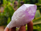 Natural Jacaranda Amethyst Crystals x 24 From Mumbwa, Zambia