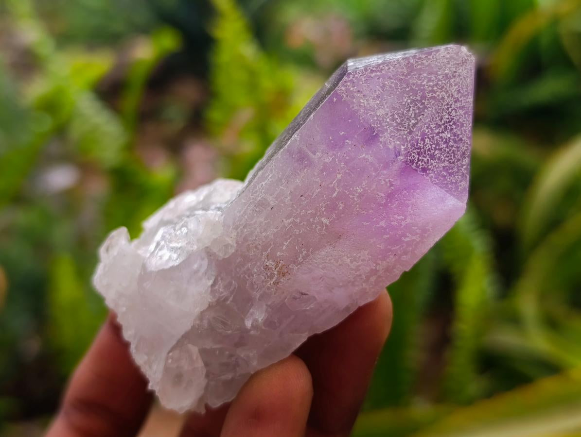 Natural Jacaranda Amethyst Crystals x 24 From Mumbwa, Zambia