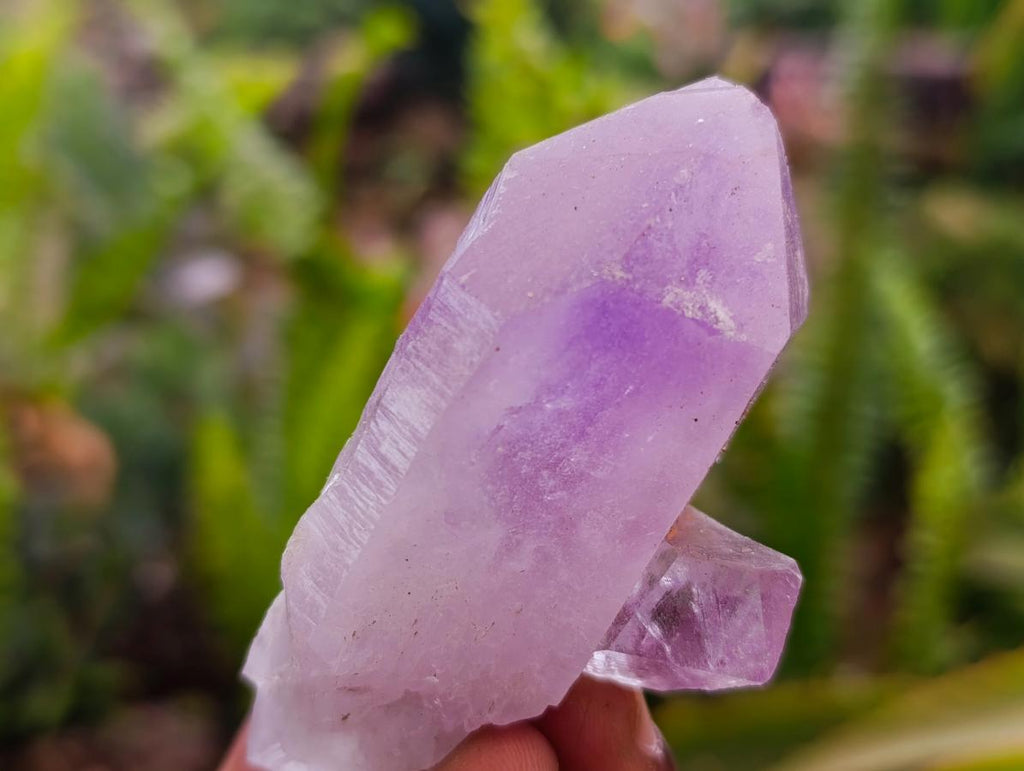 Natural Jacaranda Amethyst Crystals x 24 From Mumbwa, Zambia