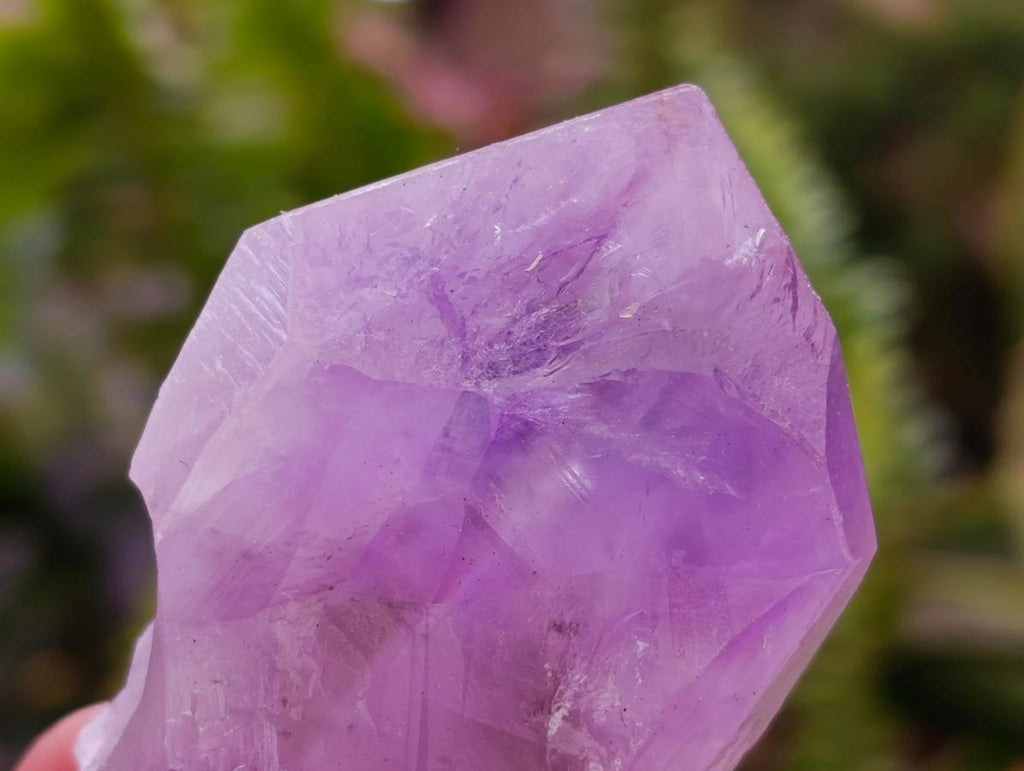 Natural Jacaranda Amethyst Crystals x 24 From Mumbwa, Zambia