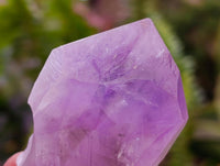 Natural Jacaranda Amethyst Crystals x 24 From Mumbwa, Zambia