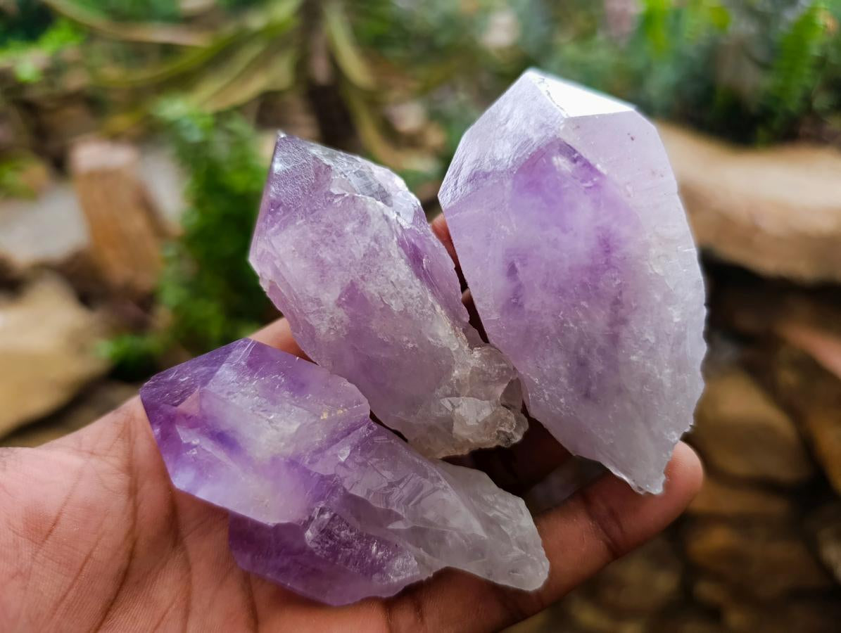 Natural Jacaranda Amethyst Crystals x 24 From Mumbwa, Zambia