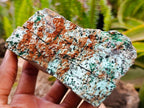 Natural Drusy Coated Chrysocolla On Dolomite Specimens x 4 From Lupoto Mine, Congo - Toprock Gemstones and Minerals 