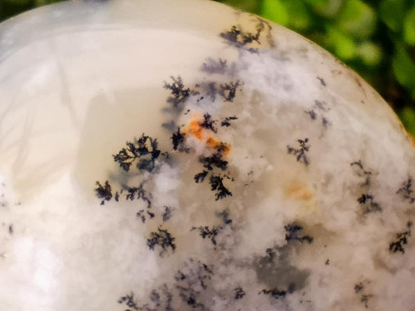 Polished Dendritic Opal Palm Stones x 12 From Moralambo, Madagascar