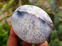 Polished Dendritic Opal Palm Stones x 12 From Moralambo, Madagascar