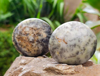Polished Dendritic Opal Palm Stones x 12 From Moralambo, Madagascar