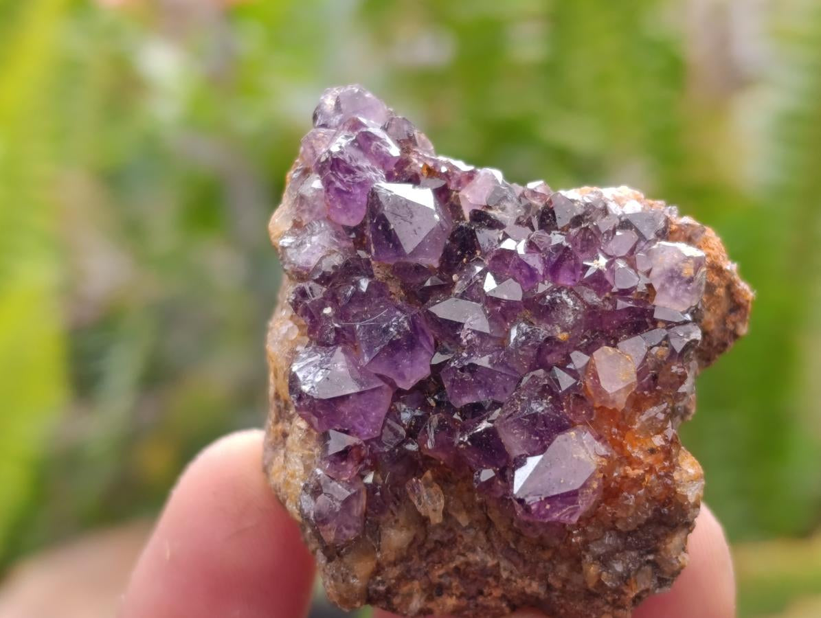 Natural Amethystos Amethyst Clusters x 20 From Kwaggafontein, South Africa