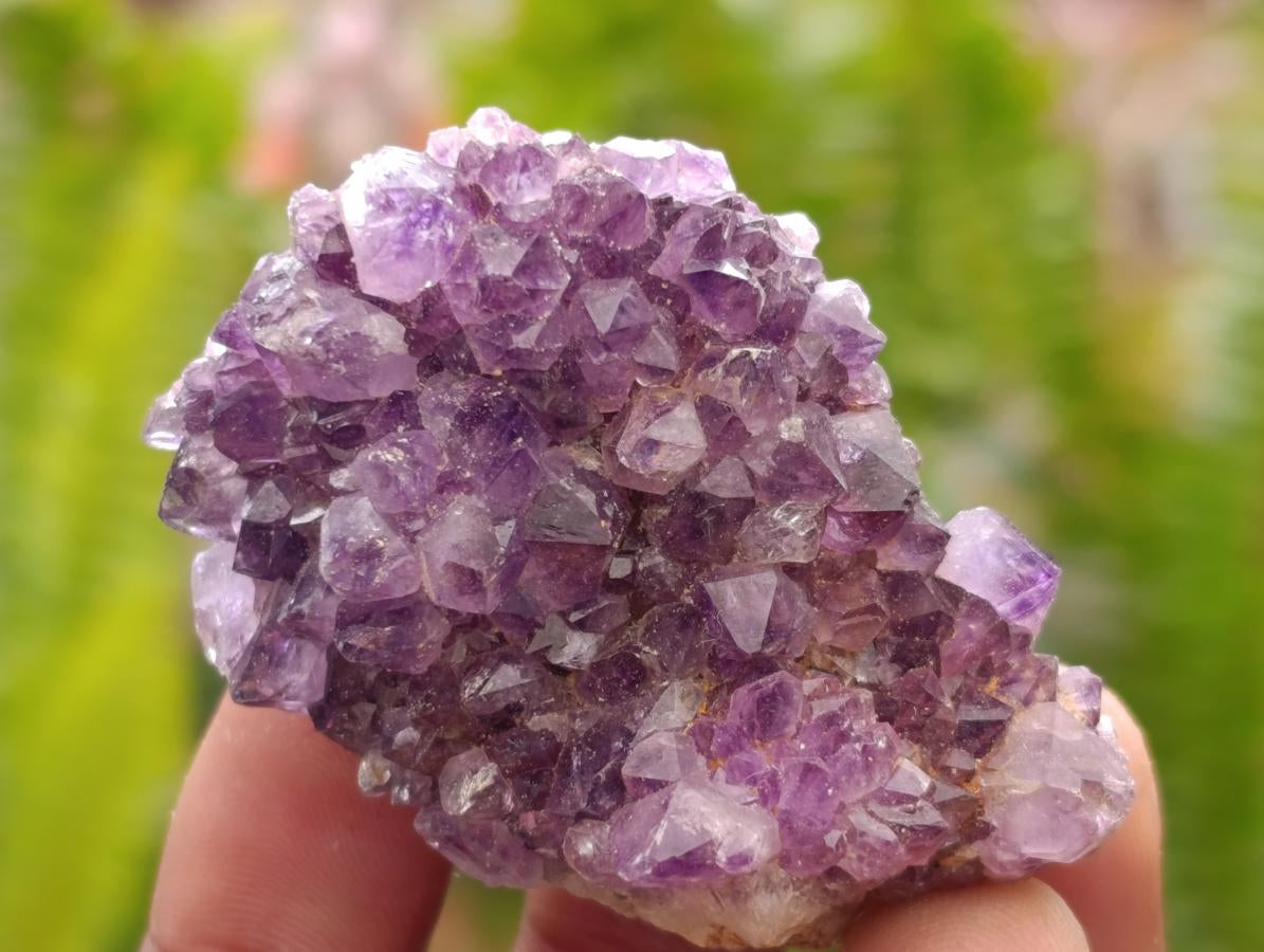 Natural Amethystos Amethyst Clusters x 20 From Kwaggafontein, South Africa
