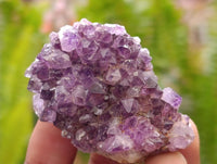 Natural Amethystos Amethyst Clusters x 20 From Kwaggafontein, South Africa