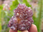 Natural Amethystos Amethyst Clusters x 20 From Kwaggafontein, South Africa
