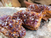 Natural Amethystos Amethyst Clusters x 20 From Kwaggafontein, South Africa
