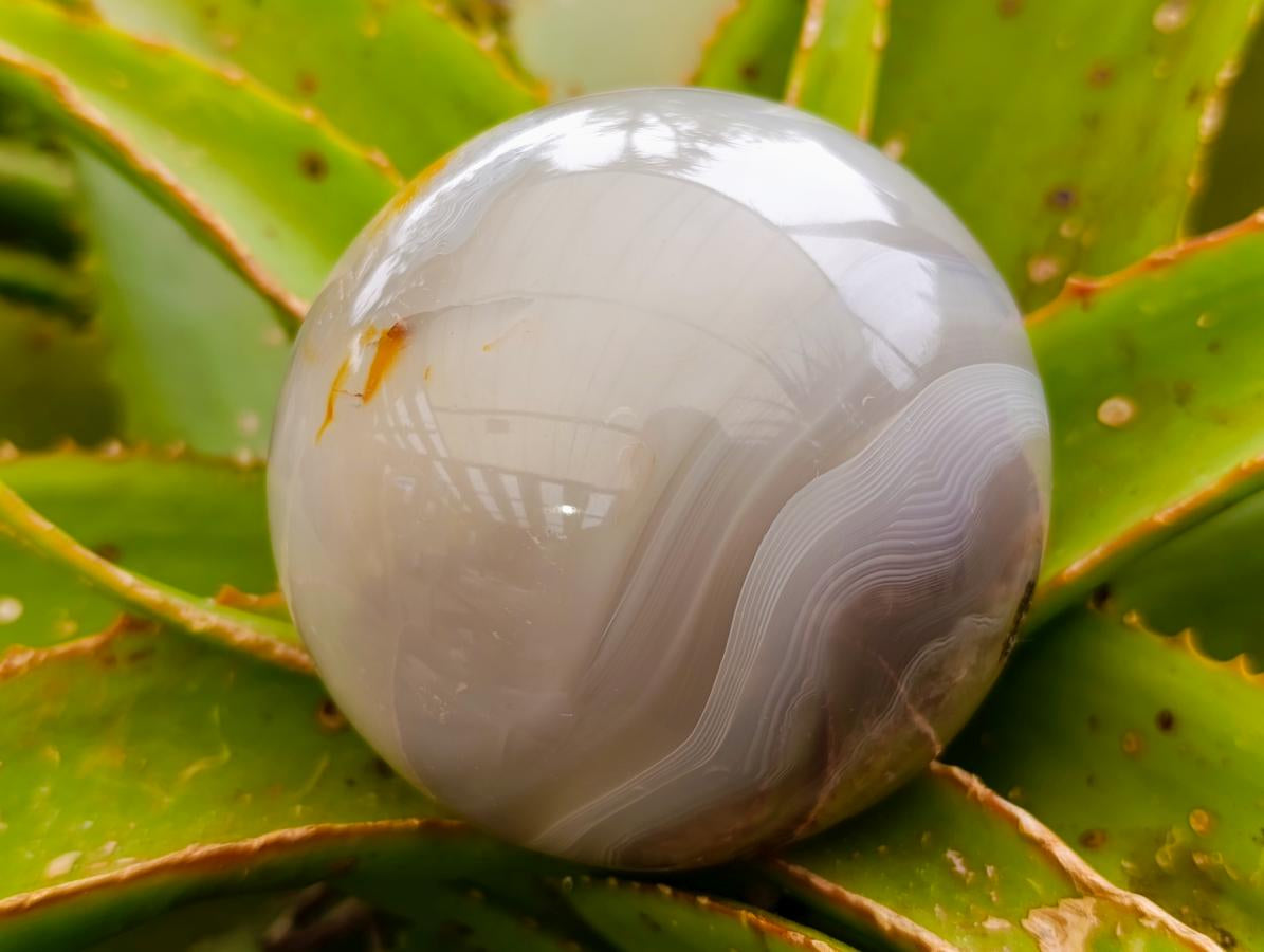 Polished Banded Agate Spheres x 2 From Madagascar