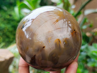 Polished Banded Agate Spheres x 2 From Madagascar
