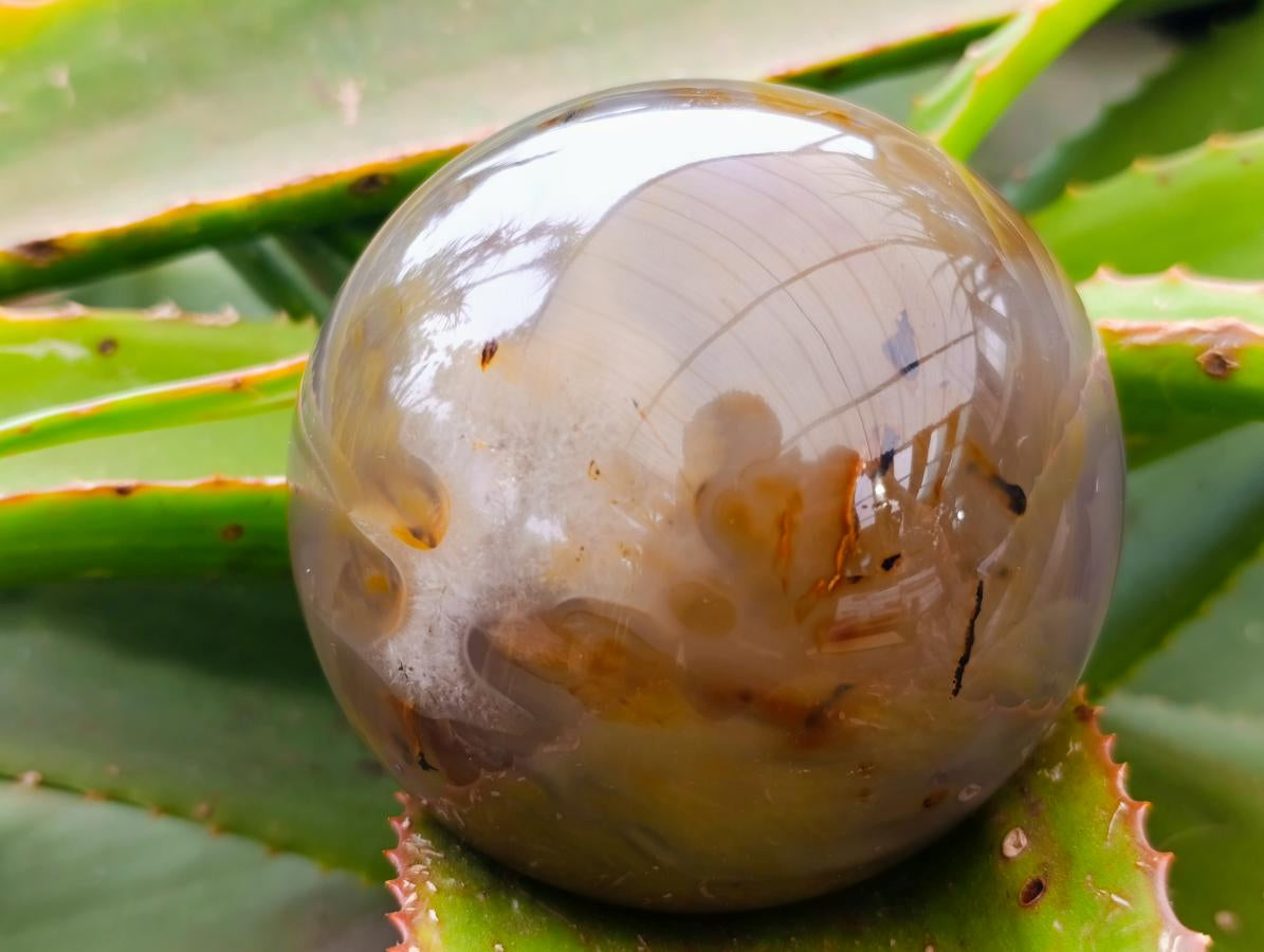 Polished Banded Agate Spheres x 2 From Madagascar