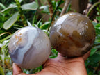 Polished Banded Agate Spheres x 2 From Madagascar