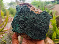 Natural Crystalline Malachite Specimens x 2 From Tenke Fungurume, Congo