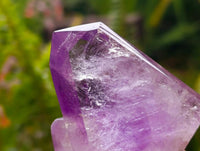 Polished Window Amethyst Crystals x 6 From Akansobe, Madagascar