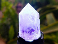 Polished Window Amethyst Crystals x 6 From Akansobe, Madagascar