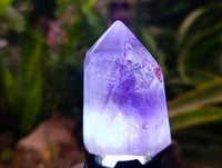 Polished Window Amethyst Crystals x 6 From Akansobe, Madagascar