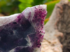 Polished On One Side Watermelon Fluorite Slices x 12 From Uis, Namibia