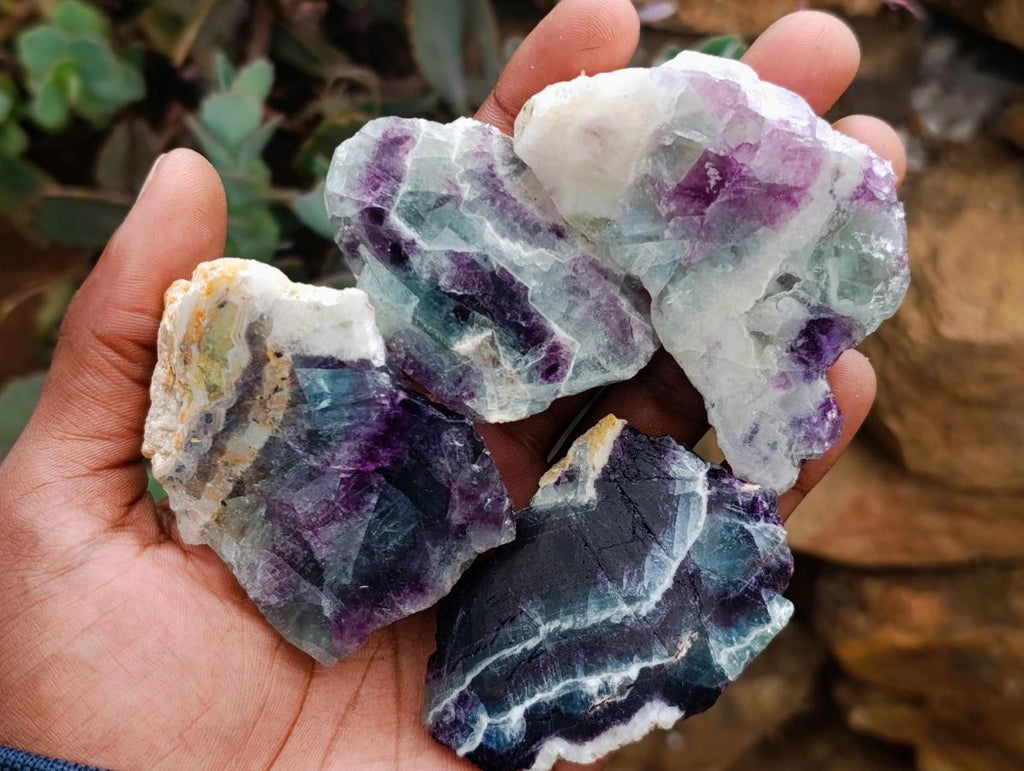 Polished On One Side Watermelon Fluorite Slices x 12 From Uis, Namibia