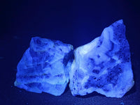 Polished On One Side Watermelon Fluorite Slices x 12 From Uis, Namibia