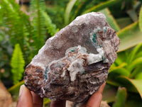 Natural Salrose Cobaltion Dolomite Specimens x 3 From Kakanda, Congo