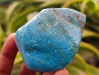 Polished Shattuckite Free Forms x 7 From Kaokoveld, Namibia