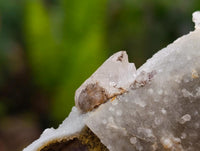 Natural Drusy Quartz Coated Spearhead Calcite Specimens x 12 From Albert's Mountain, Lesotho