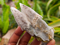 Natural Drusy Quartz Coated Spearhead Calcite Specimens x 12 From Albert's Mountain, Lesotho