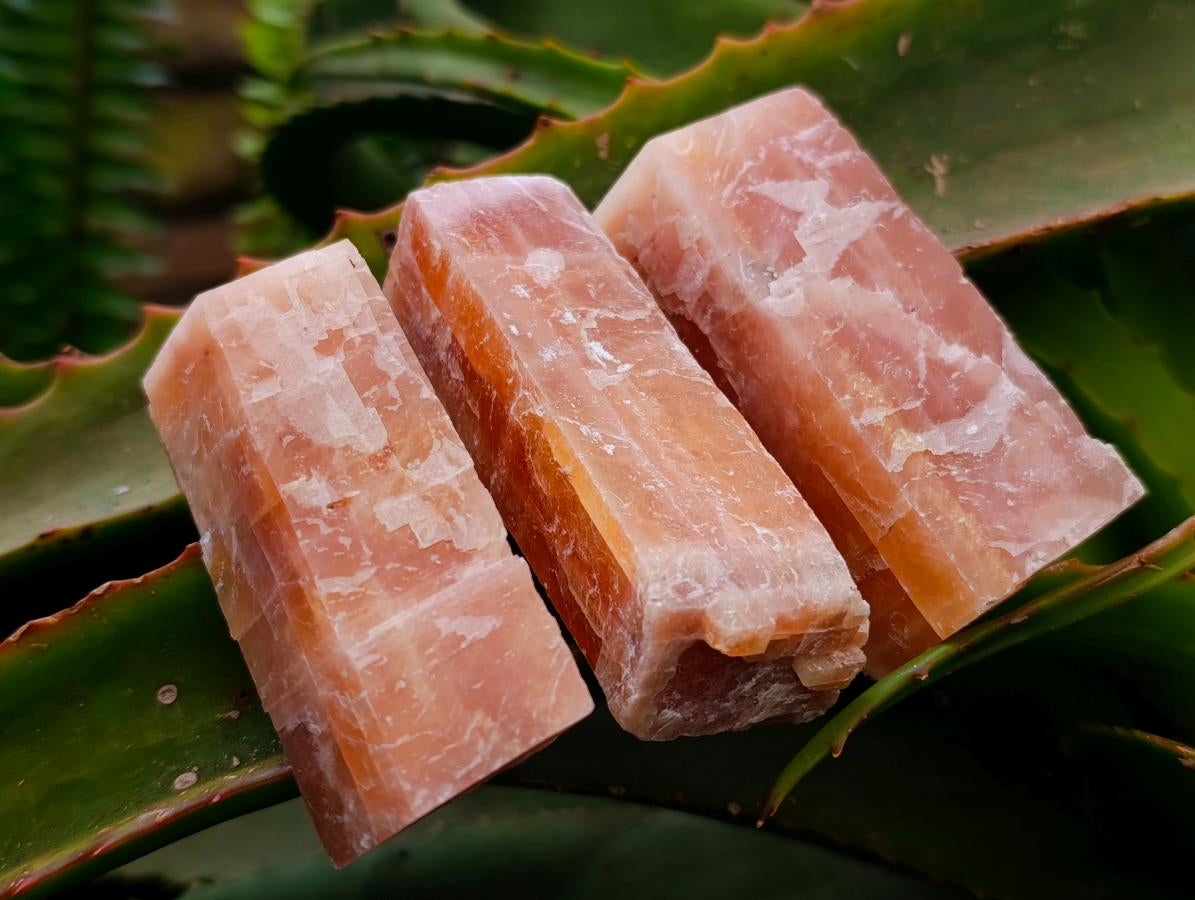 Natural Sunset Orange Calcite Specimens x 24 From Spitzkop, Namibia - Toprock Gemstones and Minerals 