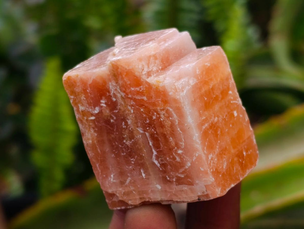 Natural Sunset Orange Calcite Specimens x 24 From Spitzkop, Namibia - Toprock Gemstones and Minerals 