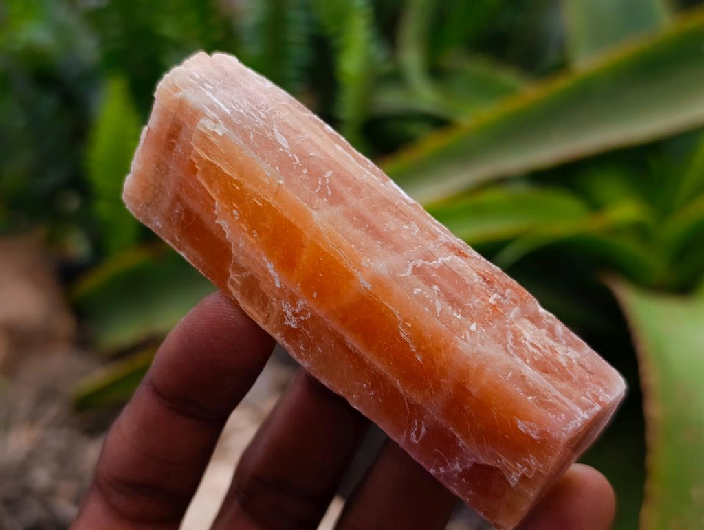 Natural Sunset Orange Calcite Specimens x 24 From Spitzkop, Namibia - Toprock Gemstones and Minerals 