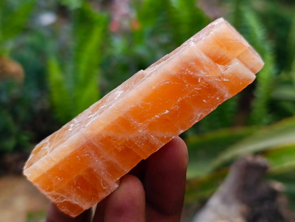 Natural Sunset Orange Calcite Specimens x 24 From Spitzkop, Namibia - Toprock Gemstones and Minerals 